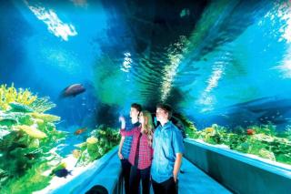 10 Large Bedrooms Ping Pong Hot Tub - 4