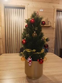 Chalet l'Epicéa T3 sous les pins avec terrasse & jardin à 5 min à pied des pistes P2 et commerces - 6