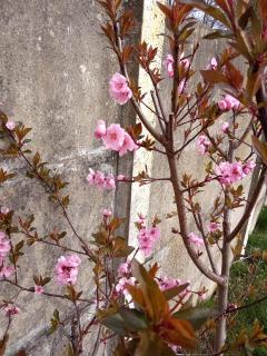 Chemin de traverse Lille Europe - 4