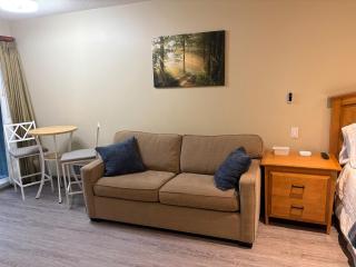 Beautiful Ocean View suite in nature resort - 4