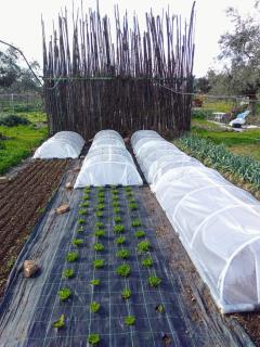 Casa rural Las Huertas del Abrilongo - 5