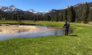 The Historic West Walker Motel - 9