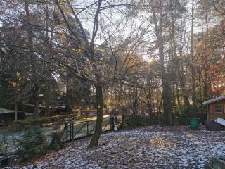 Ferienhaus Seensucht - Natur am See & im Wald mit Kamin - 4