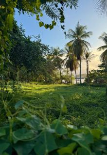 Résidence Oncle Sam - Le Gosier - 7