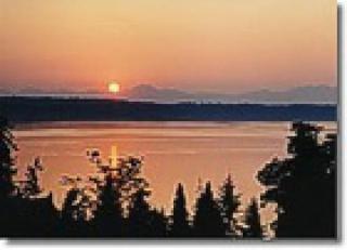 Olympic View Cottage - 1