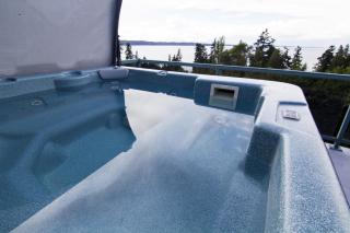 Olympic View Cottage - 3