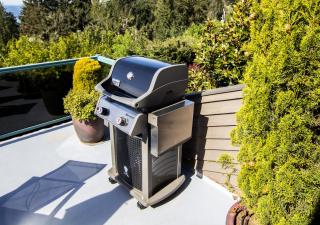 Olympic View Cottage - 2