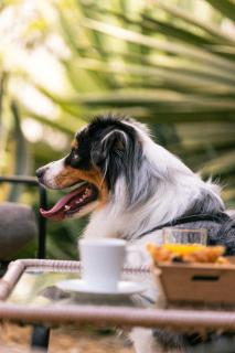 Hotel Verlaine - Cannes - 3