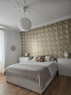 Appartement de standing Mulhouse fonderie - 2