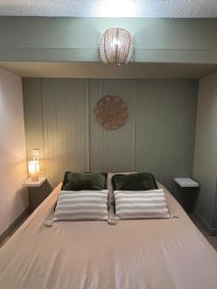 Petit coin calme à Saumur - 9