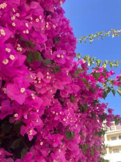 Escapade en Algarve Plage à pied - 8