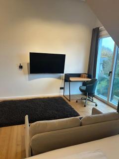 Exceptionally luxurious attic floor - 5