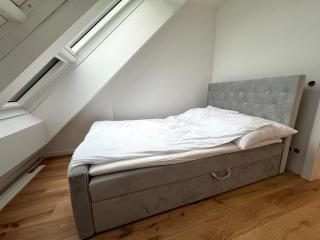 Luxury 2BR Penthouse #2! Big Terrace! Garage! - 3