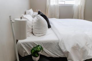 Broadview Modern Comfort For Work & Play - 5