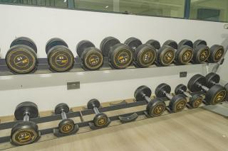 Luxe Escape City Oasis Gardens - 3