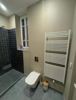 Large beautiful Apartment in the heart of Aurillac - 6