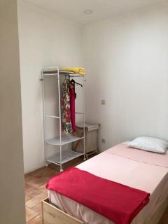 Consciência Viva - 4