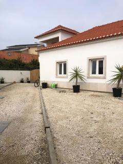 Consciência Viva - 1