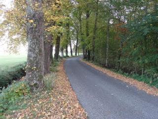 Panoramic Fjord Retreat with Spa Bath - 9