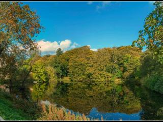 Panoramic Fjord Retreat with Spa Bath - 8