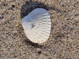 6 person holiday home in Store Fuglede-By Traum - 4