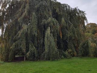 8 person holiday home in Øster Assels-By Traum - 6