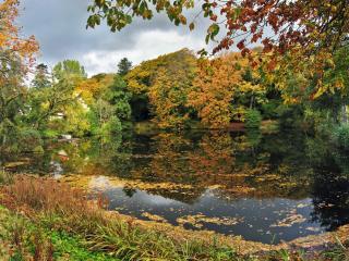 8 person holiday home in Øster Assels-By Traum - 4