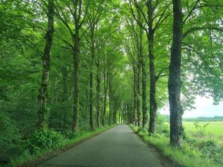 8 person holiday home in Øster Assels-By Traum - 1