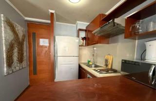 AVILA departamentos sector bulnes la moneda - 2