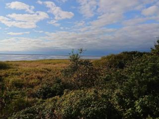 Spacious Retreat in Stauning - By Traum Ferienwohnungen - 2