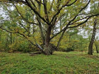 Beachfront Bliss - By Traum Ferienwohnungen - 3