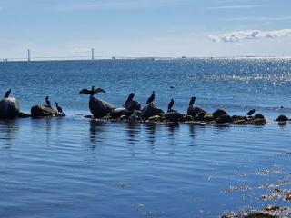 7 person holiday home in Gørlev-By Traum - 2