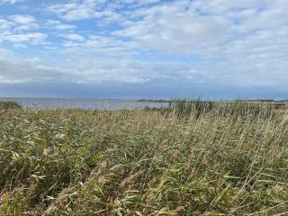 10 person holiday home in Skjern-By Traum - 7