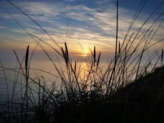 6 person holiday home in Humble-By Traum - 9