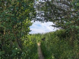 6 person holiday home in Humble-By Traum - 6