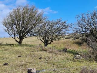 6 person holiday home in Humble-By Traum - 5