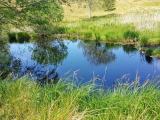Luxury Retreat with Pool - By Traum Ferienwohnungen - 1