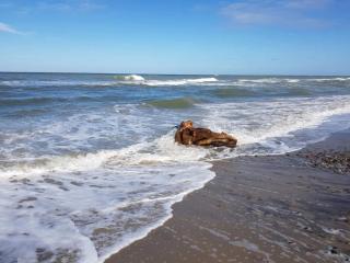 4 star holiday home in Løkken - 2