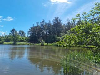 4 star holiday home in Løkken - 1