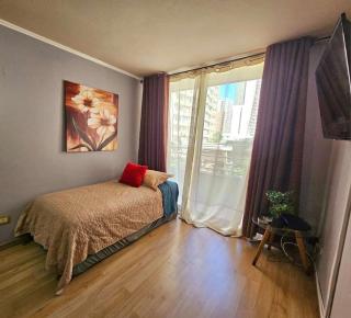 AVILA departamentos sector bulnes la moneda - 7