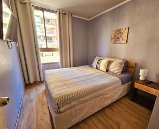 AVILA departamentos sector bulnes la moneda - 6