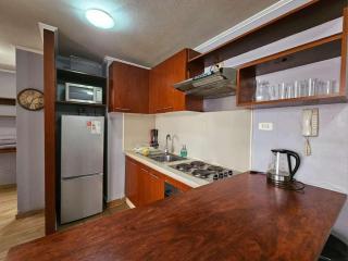 AVILA departamentos sector bulnes la moneda - 5