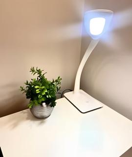 Majestuoso Apt/BBQ/Gym/Arena Mty/Wi-fi/Parking - 3