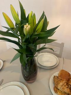 Stay Near Wembley Stadium,London Uk BOOk now - 2