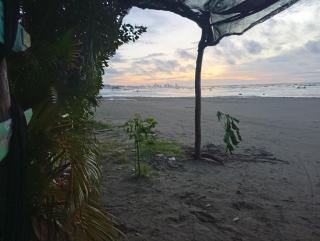 Cartagena Hostel - 5