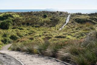 Absolute beachfront in Papamoa - 2