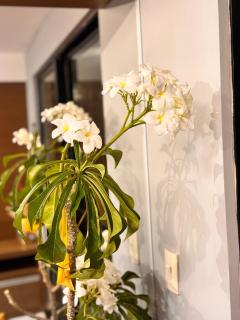 Porto Tropical Residence - 16º andar com varanda para o Mar e morro do careca - 9