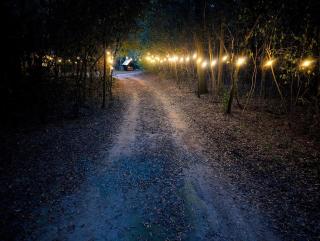 Cozy woodland haven - 1