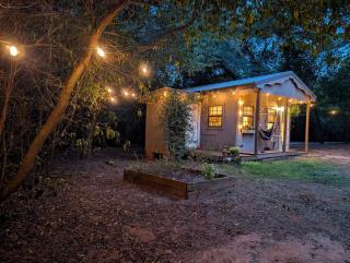 Cozy woodland haven - 2