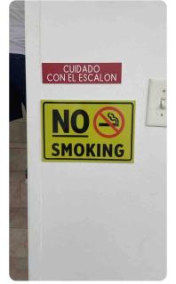 White House Paradises - 1